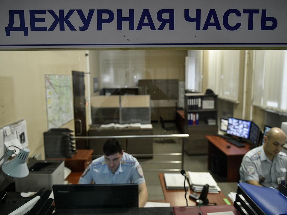 Полиция выясняет личность орудующего в Котельниках кошачьего маньяка