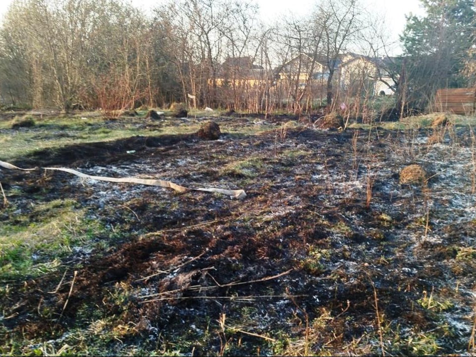 Пожарные за сутки потушили четыре пала травы в Истринском округе