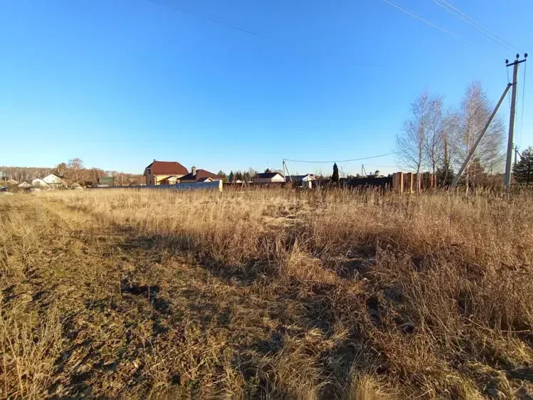 В Подмосковье объявлена распродажа земли