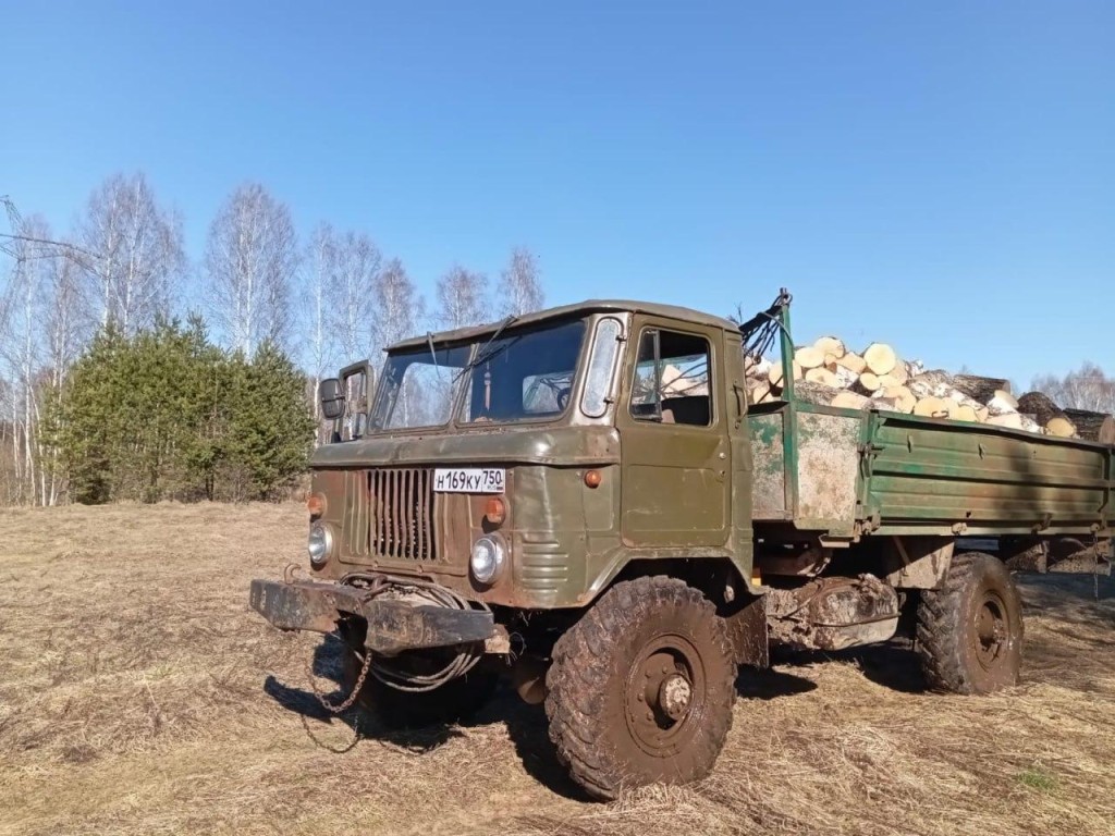 «Черного лесоруба» задержали в Лотошине