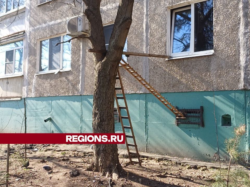 Котикам удобно: жильцы первого этажа на Дугина самовольно построили лестницу