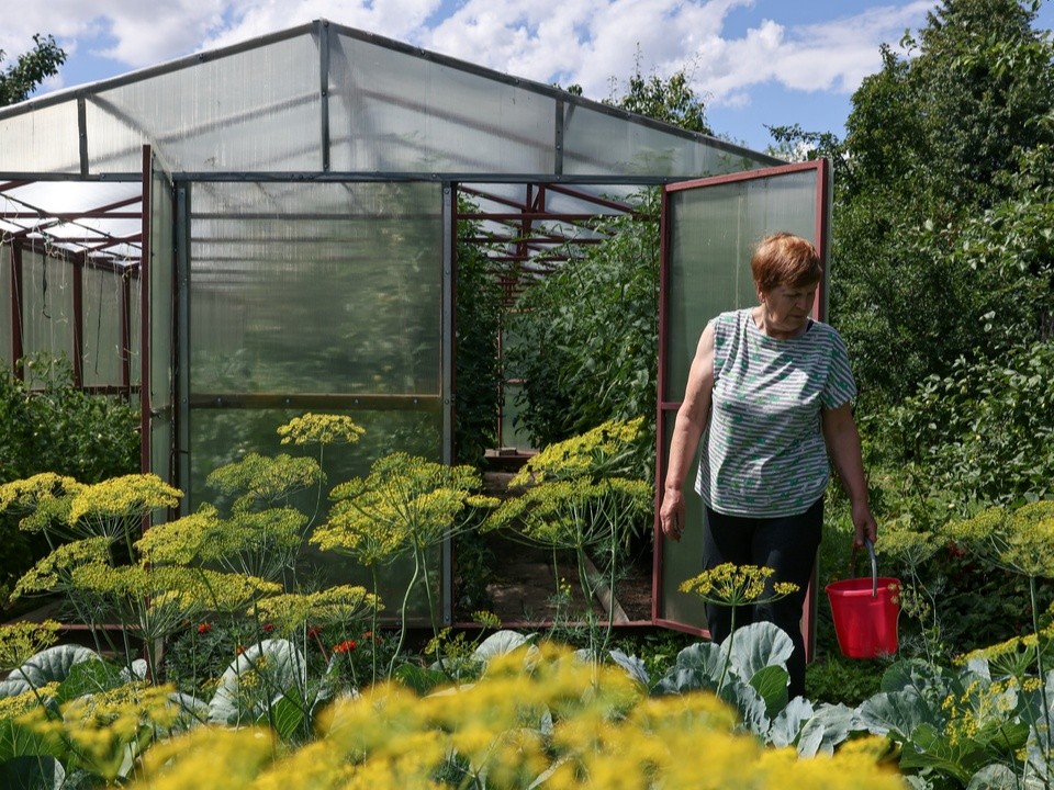 Ранние культуры рекомендовали высаживать в открытый грунт в начале апреля