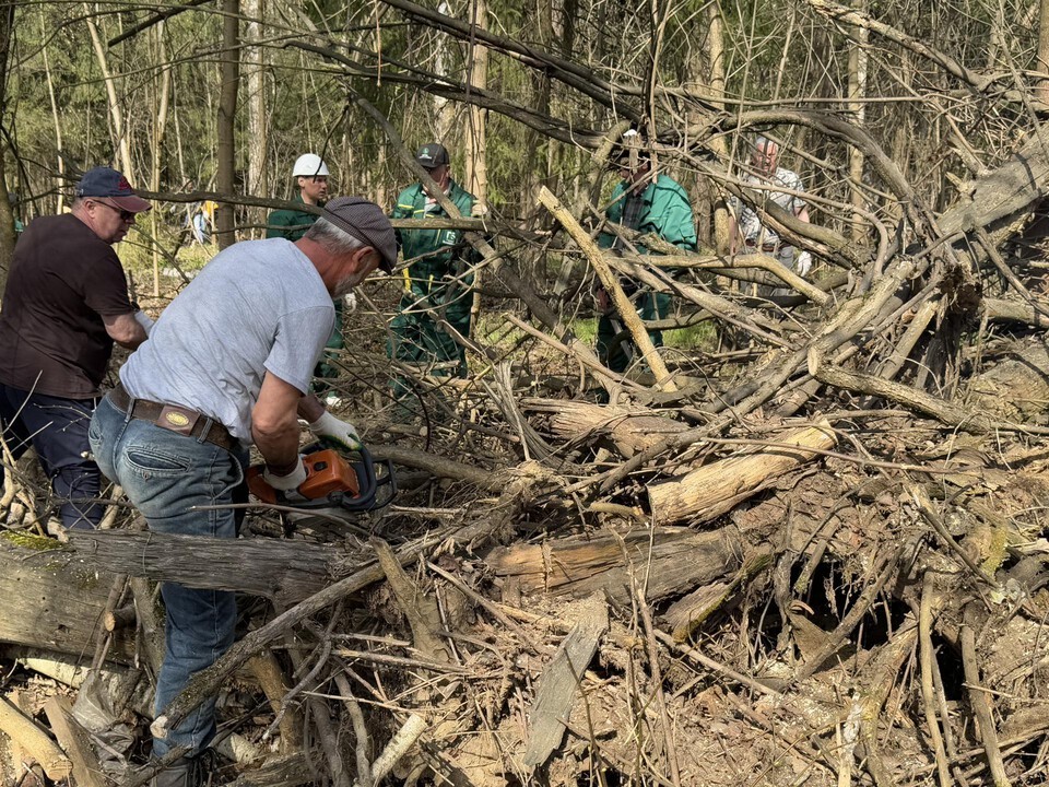 Жители Балашихи провели субботник в Кучинском лесопарке