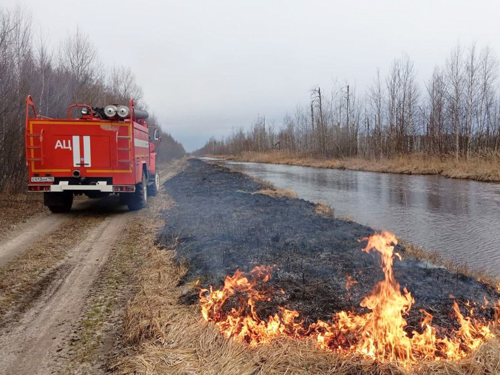 В лесах городского округа Ступино введен особый противопожарный режим