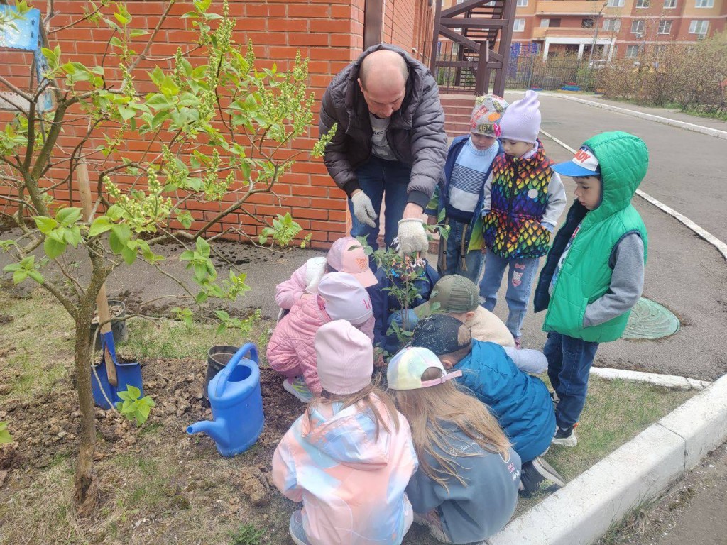 Сирень и тую посадили возле детсадов и школ в Краснознаменске