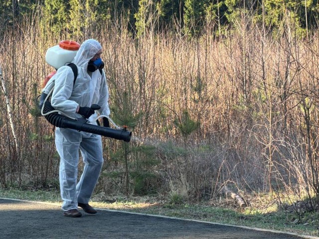 Парк Кривякино Воскресенска обработают от клещей
