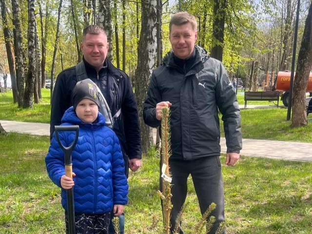 Сотрудники Министерства чистоты Московской области высадили кедры в Королеве