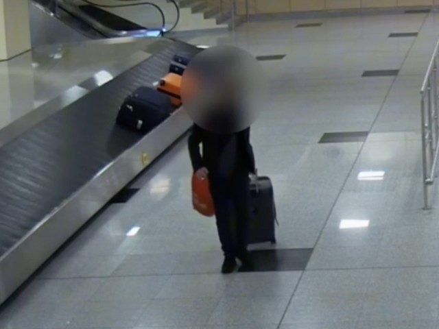 Пассажиру вернули ручную кладь, похищенную в аэропорту Домодедово