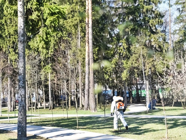 В Балашихе стартовала кампания по весенней обработке парков от клещей