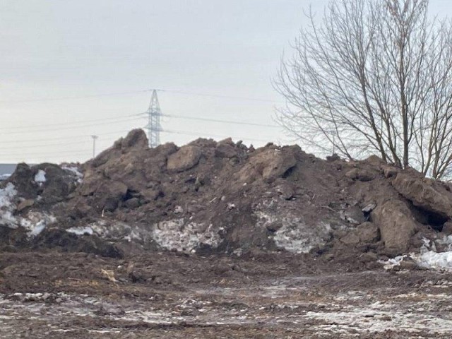 Владельцам земель в Ленинском округе напомнили о необходимости контролировать участки