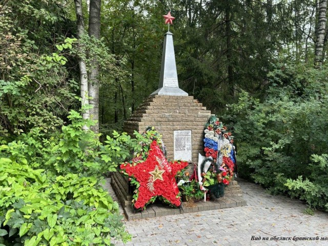 В Истре определили границы зон охраны для братской могилы советских воинов