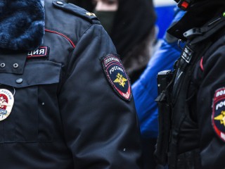 Полиция остановила незаконное захоронение животных в Федорцово