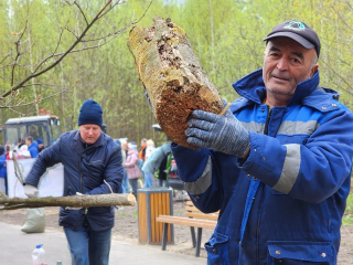 На субботнике в Лосино-Петровском сухие ветки сразу раздробили в опилки