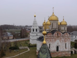 Возле Лужецкого монастыря в Можайске зацвел редкий «карликовый гиацинт»