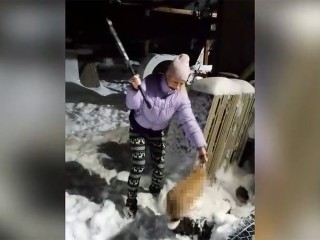 Угрожают зарубить топором: жительницу Фрязина преследуют из-за ролика об обезглавленном кролике
