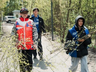 В сквере поселка Биокомбината убрали  валежник и мусор