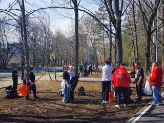 Правобережную набережную Дубны очистили от старой листвы во время субботника