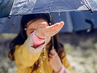 К середине недели в Солнечногорске начнутся дожди