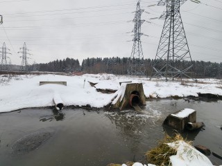 Частный сектор и объект торговли в Бородках незаконно сливают стоки в реку Ликова