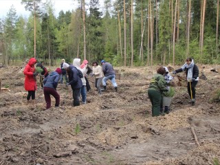 Егорьевцев пригласили принять участие в акции «Сад Памяти»