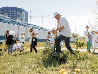 В Дубне прошлое и настоящее объединятся на памятной акции «Сад памяти»