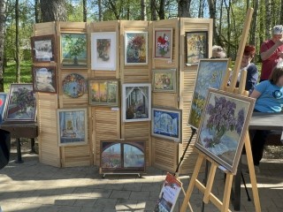 Концерт, танцы и спорт: в Солнечногорске откроют теплый сезон