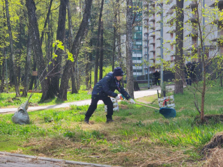 Уборка и посадка: жители Изумрудных холмов в Красногорске собрали мусор и высадили саженцы деревьев