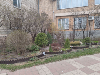 Самые оригинальные палисадники оформляют во дворах Дзержинского
