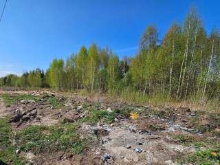 В Орехово-Зуеве ликвидируют несанкционированную свалку мусора
