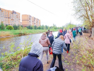 Клинские волонтеры очистили берега реки Сестры за день