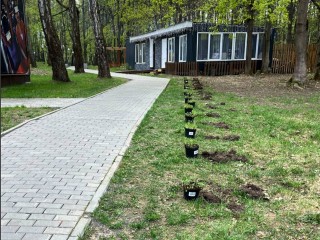 «Бабушкины цветы» украсили городской парк в Кашире
