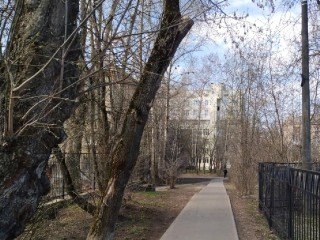 В Лыткарине территорию возле гимназии №1 очистили от мусора