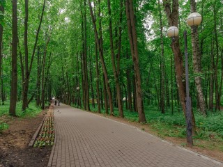 В Подмосковье рекордную жару зафиксируют вечером 21 апреля
