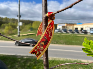 В Серебряных Прудах высадят «Сад памяти»