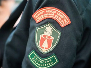 Встреча с дачниками на тему изъятия участков пройдет в Клину
