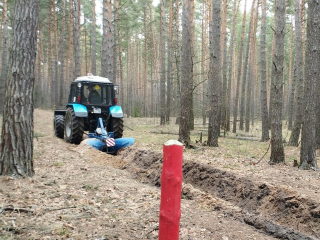 Более 50 километров противопожарных полос обновят в лесах под Коломной