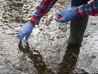 Эксперты администрации Балашихи возьмут пробы воды из Вьюнки