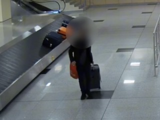 Пассажиру вернули ручную кладь, похищенную в аэропорту Домодедово