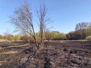 Пожарные вместе с жильцами предотвратили распространение огня на поле в Мытищах