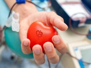Сдать кровь — спасти жизнь: в Домодедове вновь пройдет День донора