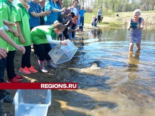 В электростальский водоем запустили рыбу, которая будет поедать водоросли