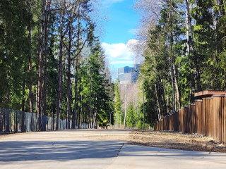 На этой неделе в Красногорск придет июньское тепло