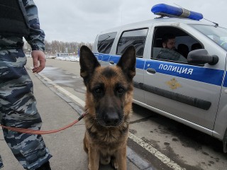 Администрация: информация о минировании школ в Красногорске не подтвердилась
