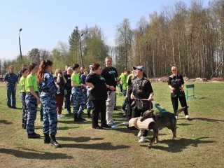 Кинологи показали мастерство и выучку собак на чемпионате в Губернском колледже