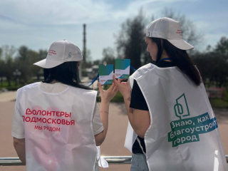За преображение каких территорий могут проголосовать жители Чехова в этом году