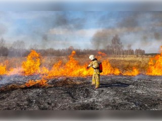 В Балашихе горит лес