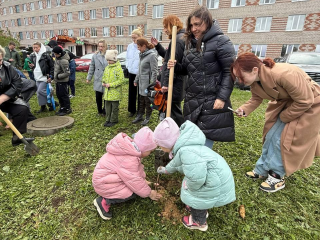 Аллея многодетных семей появилась у Дмитровской областной больницы