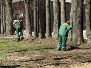 Подготовку парка к лету возобновили в Солнечногорске