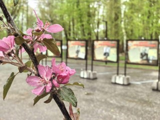 В парках Клина открылись тематические фотозоны к 9 Мая