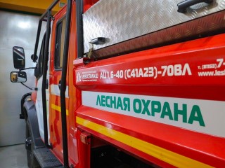 Особый противопожарный режим ввели в лесах Зарайска
